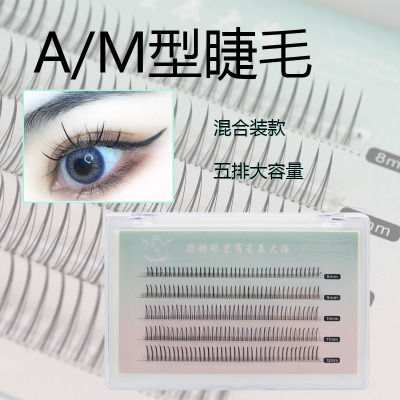 萌朔兒小紅書網紅同款 A型仙女毛混合裝假睫毛單簇M型仙子毛自然