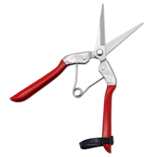 Manufacturer wholesale red garden scissors, multi-purpose pruning scissors for picking fruits from branches, stainless steel garden scissors