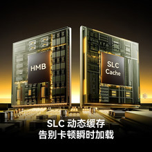 �׿�ɳTHOR PRO ����ϵ�� 1T SSD�̑BӲ�PM.2 NVMe�f�hPCIe 4.0x4