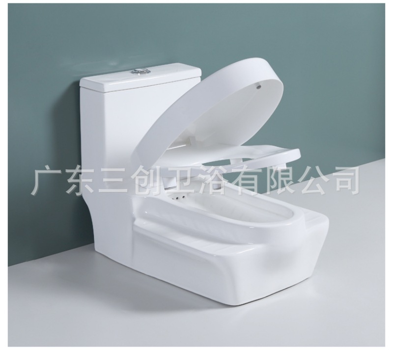 蹲坐两用马桶9001S-详情页 (19).jpg