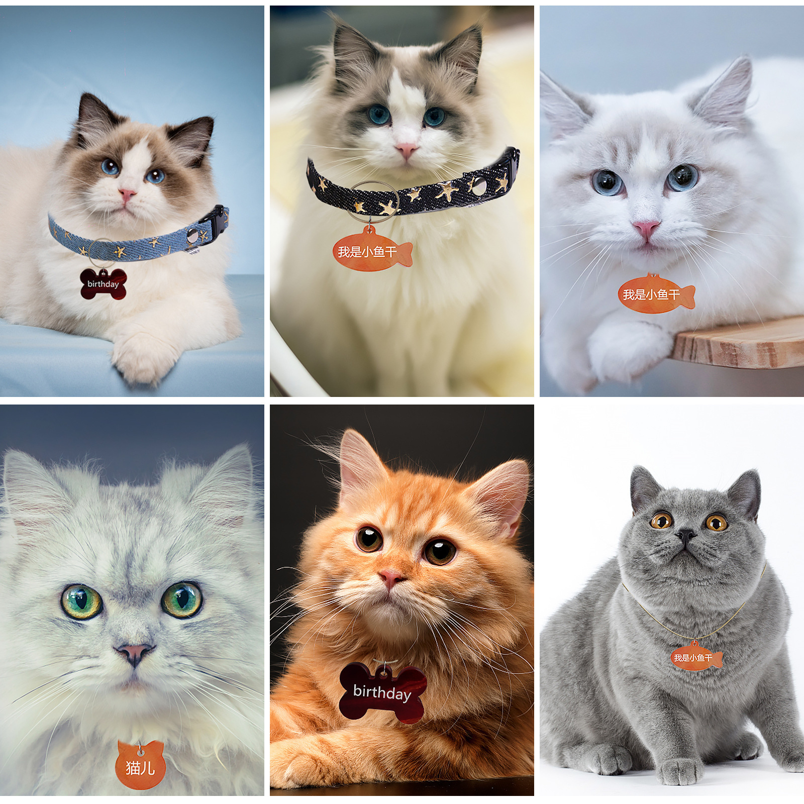 Nuevo multi-especificación lista de mascotas molde de silicona gatito cachorro cabeza de pescado hueso mascota anti-perdida placa de identificación epoxi molde