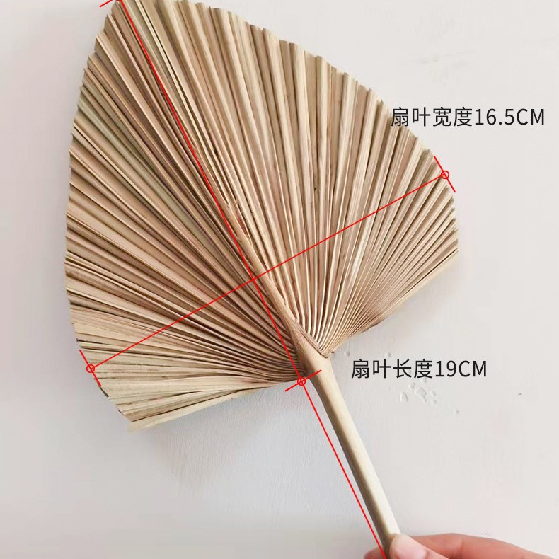 Pu fan hoja girasol fan hoja grande flor seca hoja de palma ventana vino fiesta arte colgante de pared decoración boda Arco de la boda diseño