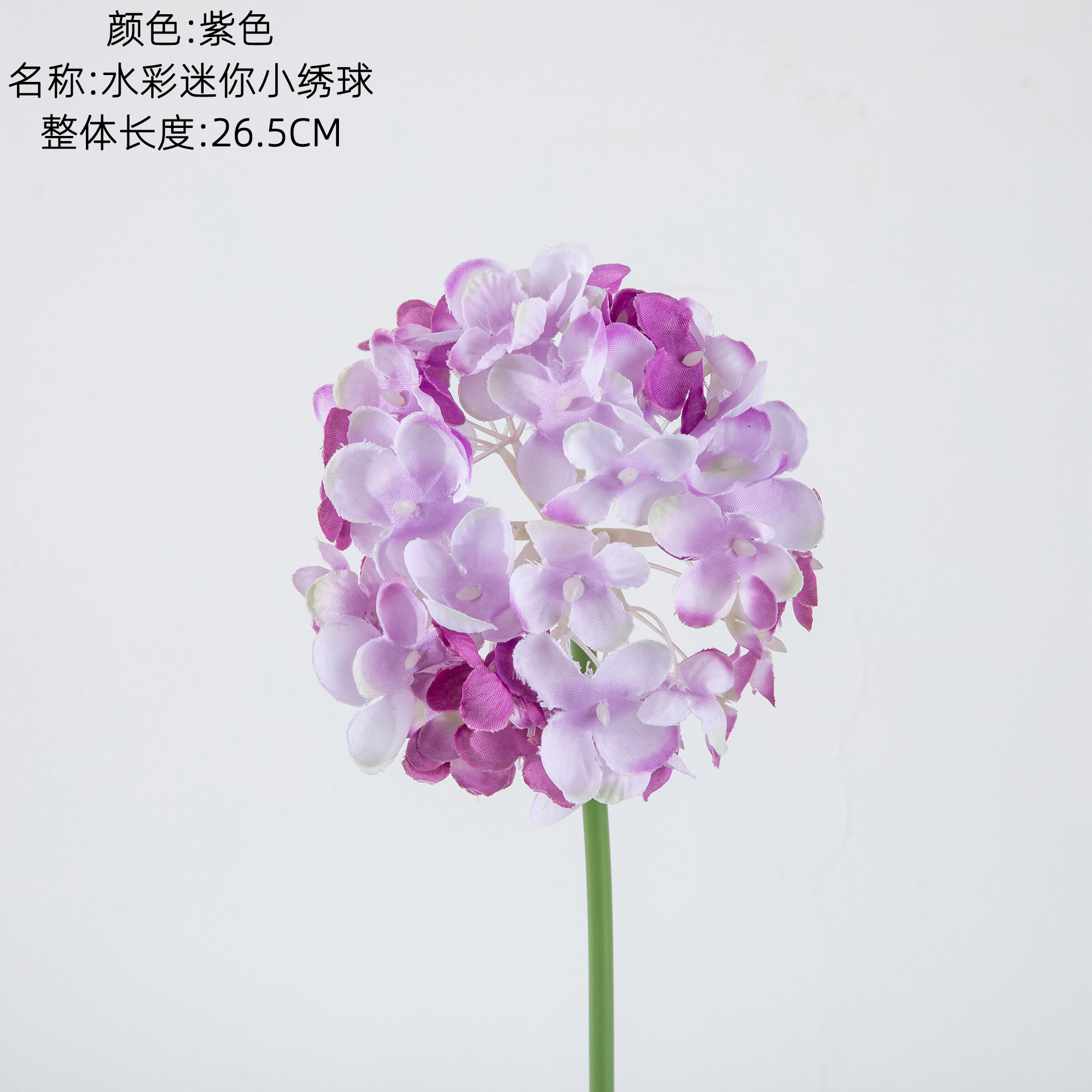 보라색