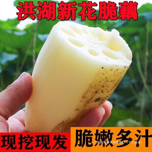 ���rɏź�����r���ԷN�����F�ھſ�ɏź�峴����ź��ɢ�b�鿴Ԕ��