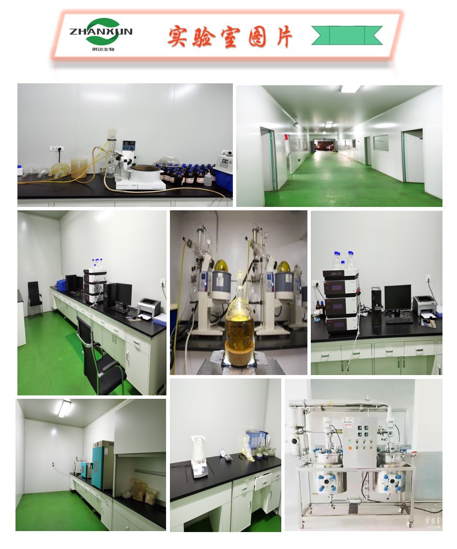 除虫菊提取物 除虫菊酯50% 除虫菊素 展迅生物