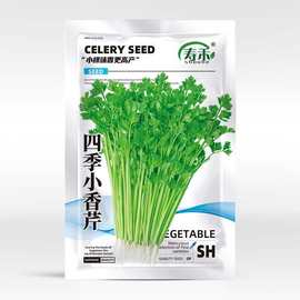 四季小香芹种子种籽芹菜 籽种西芹 苗春季菜籽阳台盆栽蔬菜幼苗孑