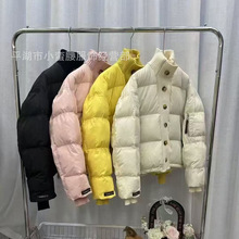 �W��վ�������e�nϵ���ſ�ƴ�ӕr�б�ůë�����I��q��Ů�̿�����