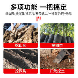 洛阳铲锰钢铁锹专业挖笋神器专用挖树锹挖沟锄头树根挖土户外农具