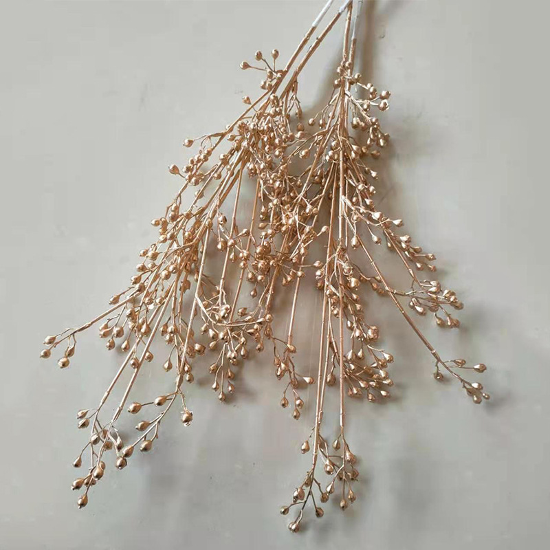 金色小冬青.jpg1