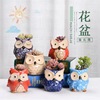 Cross -border new Japanese and Korean small animals colored thumb pot kiln transformed owl sets of succulent pot craftsmanship wholesale