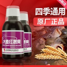 山西大麦红薯膏添加剂垂钓黑坑鲤鱼散炮钓鱼小药鱼饵料诱鱼剂