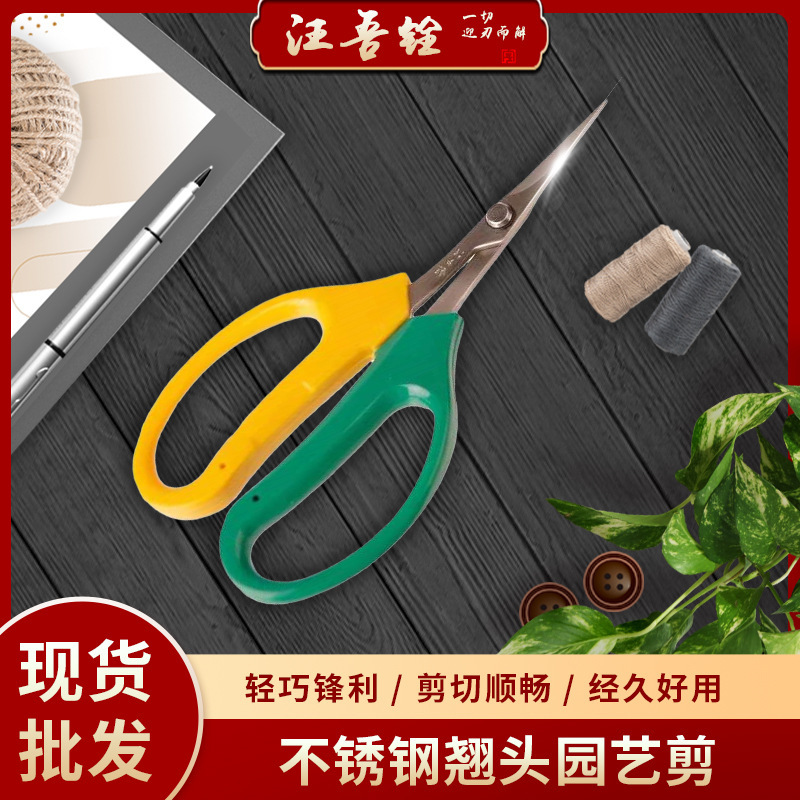 Horticulture Shears Wang Wuquan Elbow Stainless Steel Grape Shears Pruning Shears Rare Fruit Shears Household Vegetable Scissors Horticulture Shears Wang Wuquan Elbow Stainless Steel Grape Shears Pruning Shears Rare Fruit Shears Household Vegetable Scissors