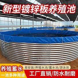 镀锌板帆布鱼池加厚高密度养鱼专用水箱户外大型蓄水池农业储水池