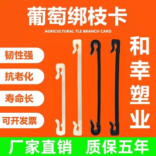 �¿����ѽ�֦���J���ҿ����ϻ��״���֦�C���z���۽��ι�����