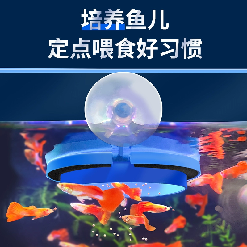 Кормушка для аквариумов Плавающее кольцо для кормления мелкой рыбы Гуппи кормит рыбу, чтобы предотвратить дрейф