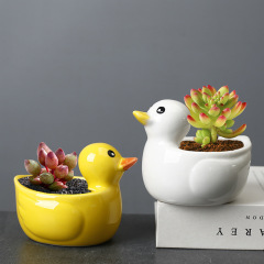 Cross-border succulent plant pot ultra cute little duck creative animal fun personality succulent versatile ceramic small flower pot