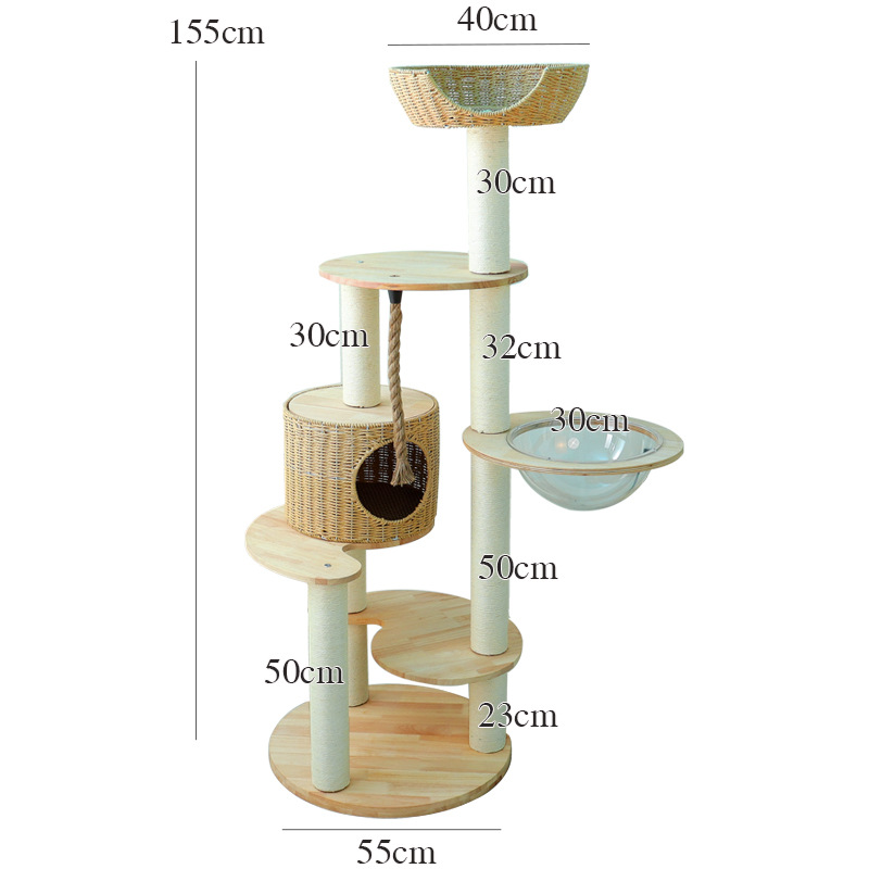 80810 단단한 나무 모델