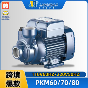 ���QPKM60���u��Pedrollo��ˮ��CP158�x�ı�JSW10M�����220V�W��
