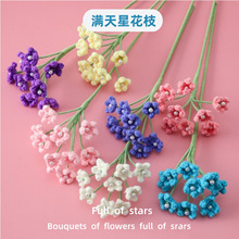 �W�t�ٴ���h��ë���M���ǻ�֦��Ʒ9�����黨�������˹���Ϧ�Y��