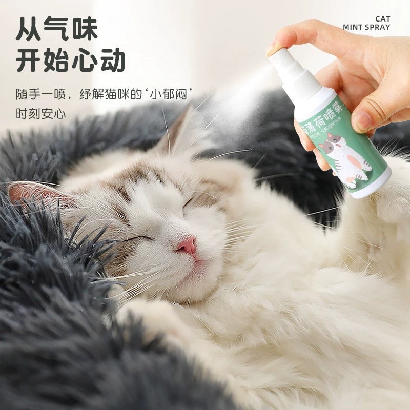 Mint spray, interactive toy, (Physicals), cat