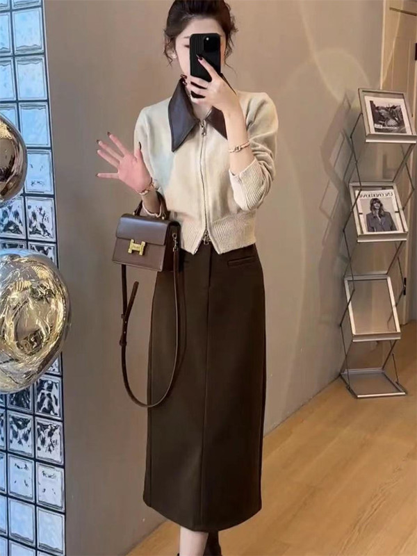 韩系穿搭时尚套装裙秋季显瘦气质减龄拉链针织毛衣半身裙子两件套|undefined