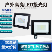 RGB小苹果投光灯红外感应投光灯七彩遥控变色led照树灯