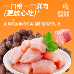 Manufacturer direct sale wholesale pet snacks 400g chicken crispy 100g dog food partner meat crispy rice seasoning for cats