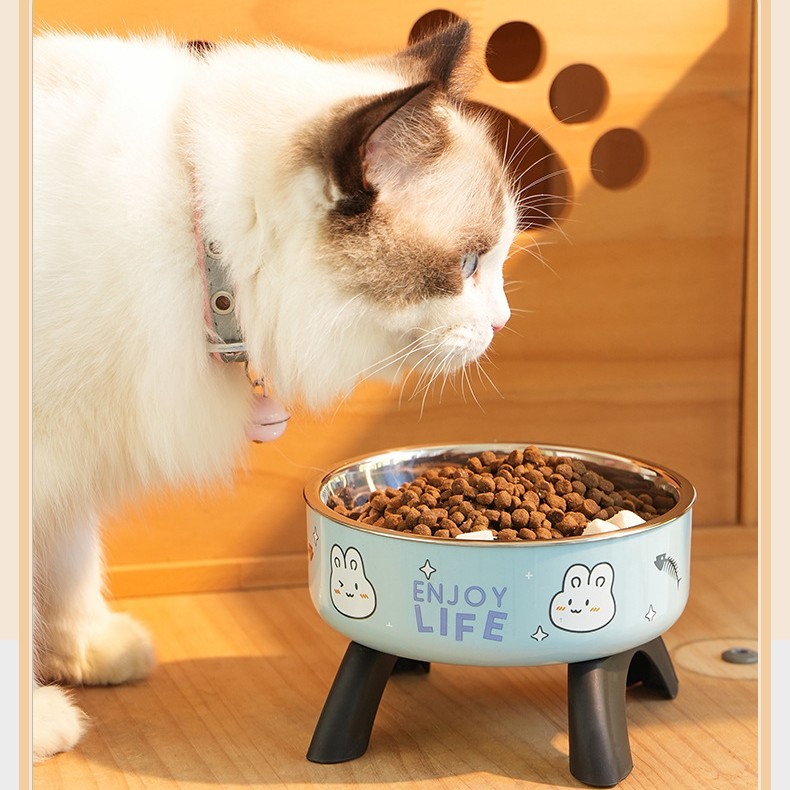 护颈猫咪高脚碗可拆卸易清洗不锈钢单碗防黑嘴狗碗防滑防打翻猫碗