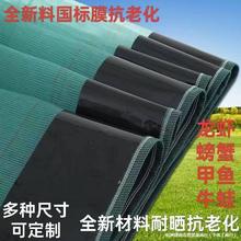 С���r���ӾW���Wţ�������з���~�r��С���r�Bֳ���ӾW����Ĥ