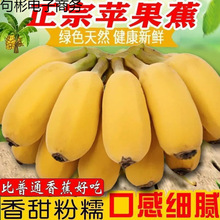 �V��С�׽��������rˮ��10��������Ȼ��banana�O�����㽶�۽�