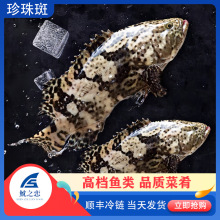 ��֮��600-700g������r������ϻ��߾Ƶ���ϯ������ɫ�˰��~