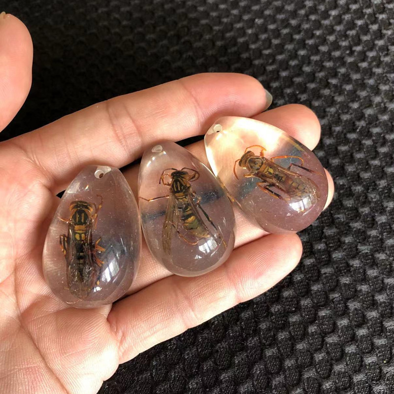 儿童挖掘考古昆虫标本 合成树脂琥珀昆虫 散装水滴盲盒标本现货|undefined