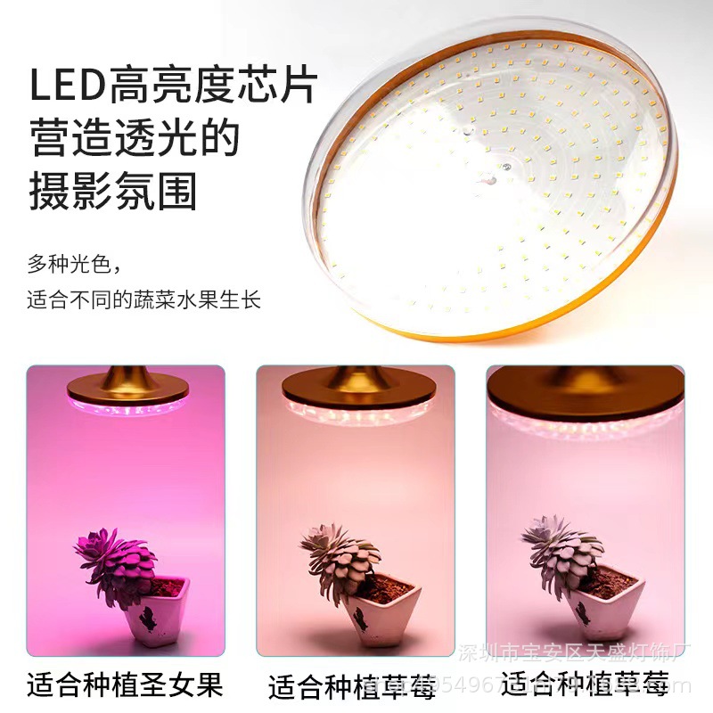 LED plant lamp