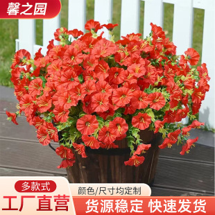 �羳�¿���栿ţ���ȼ������Ȼ���֦���� ���@ͥԺ�ٻ���֦�b�