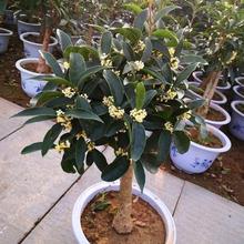 �𻨘���������Խ���ļ����҃���������̨���ܾGֲͥԺ�辰