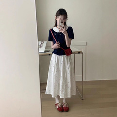 恤波点半身裙刺绣甜妹短袖套装女夏风高腰翻领爱心减龄长裙子