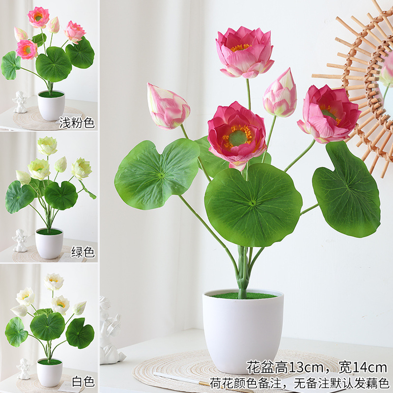 연꽃 꽃다발 1개 + 흰색 플라스틱 화분
