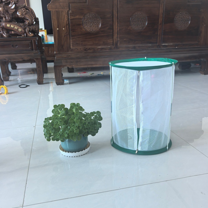 防虫纱网爬虫宠物笼幼苗透光培育箱可折叠式昆虫蚕蛹观察笼蝴蝶笼
