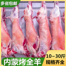 ���r�����ȫ�� ȫ����ֻ ȫ�� �חl�� 10-30����x ��Ʒ��ȫ��