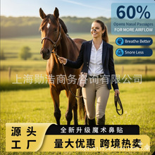 ħ�g�N�������ǊA���؏�ʹ�ù��z�ǔU�������ƺ���˯�߱�������