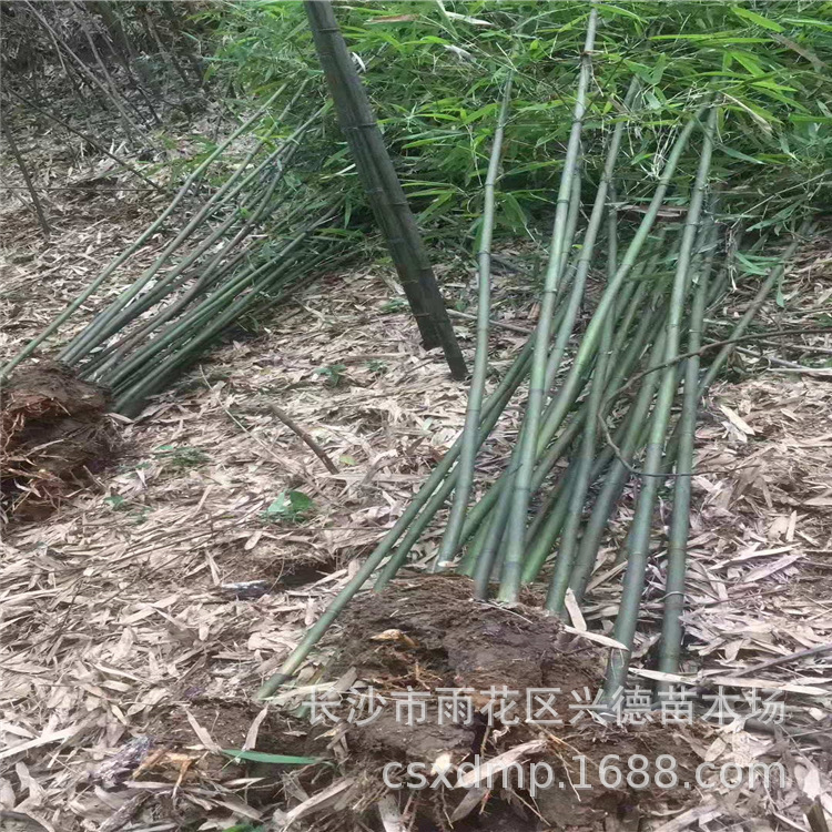 微信图片_201908211641591