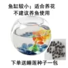 Rice tank, 12 cm