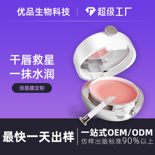 Lip Mask Customization Oem Processing Manufacturer, Good Night Lip Mask for Girls, Fades Lip Lines, Hydrates, Moisturizes, and Nourishes, Cross-Border Private Label