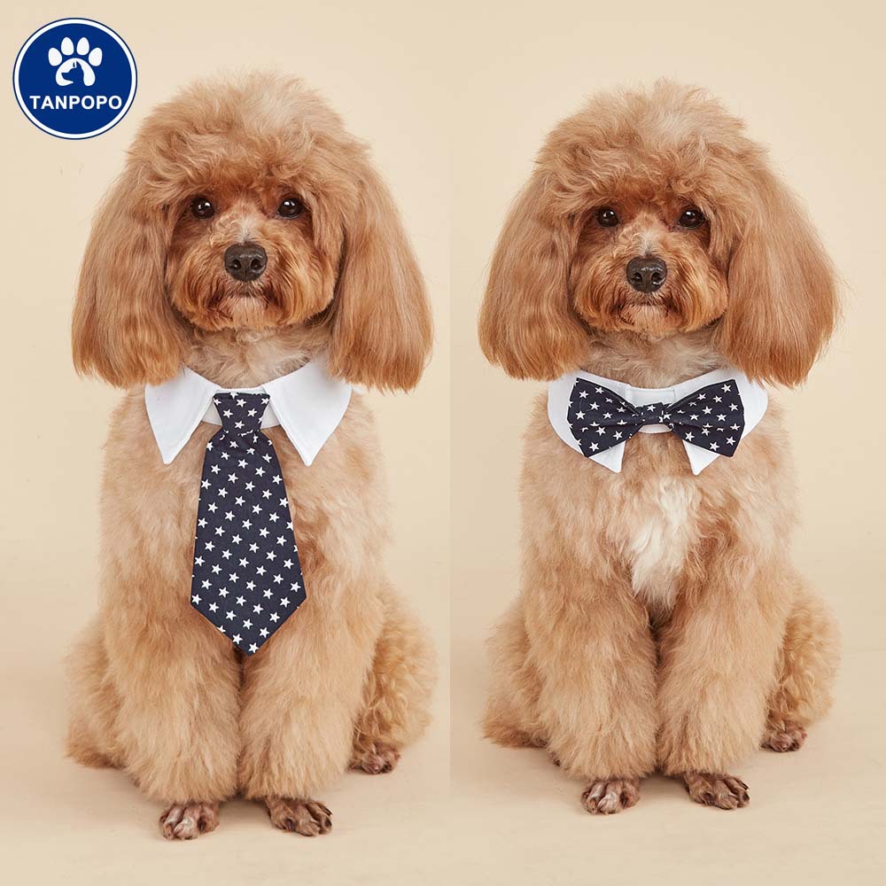TANPOPO spot transfronterizo nuevos productos pentagonal guapo perro corbata velcro ajustable corbata de mascotas
