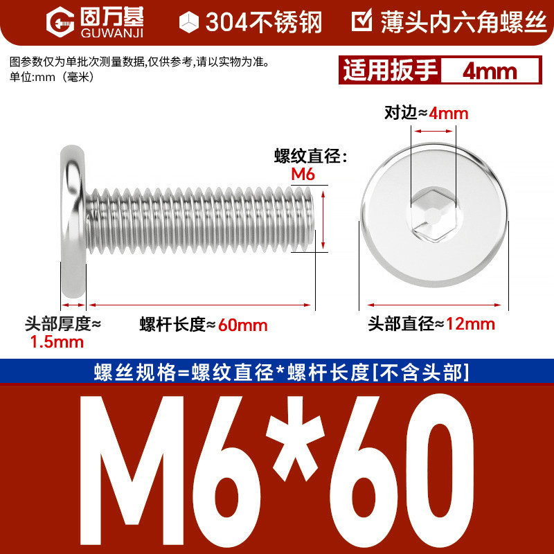 304 M6*60