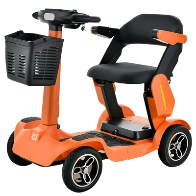 for the Disabled, Internet Celebrity — Qatlanan elektrik velosipedlər
