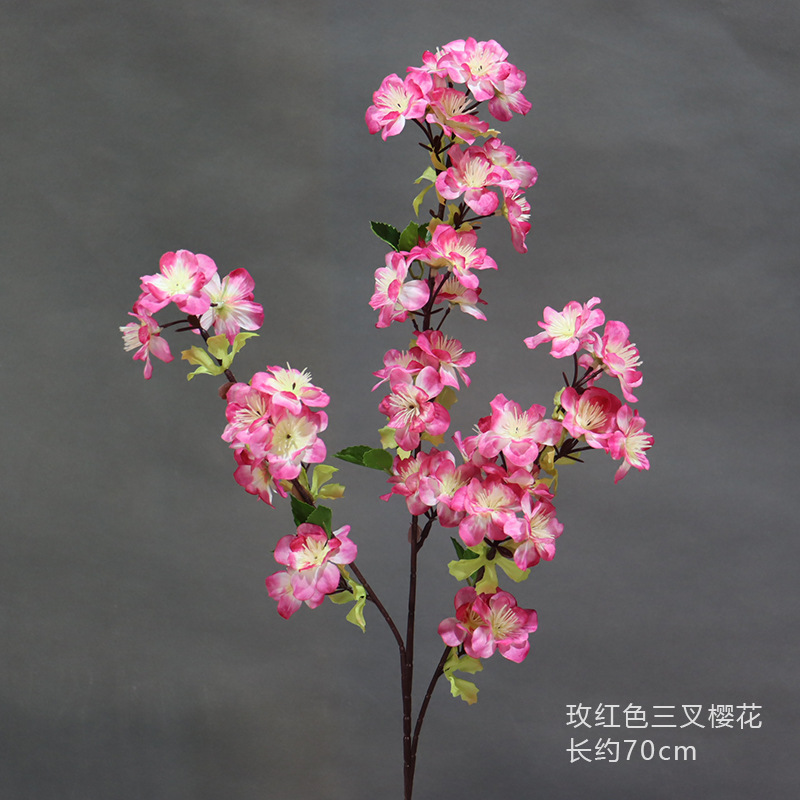 Rosa roja de Tres Tenedores de flor de cerezo