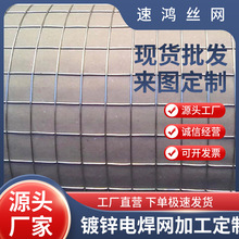 定制供应热镀锌电焊网 抹墙网 建筑内外墙防裂抹灰网 批荡网
