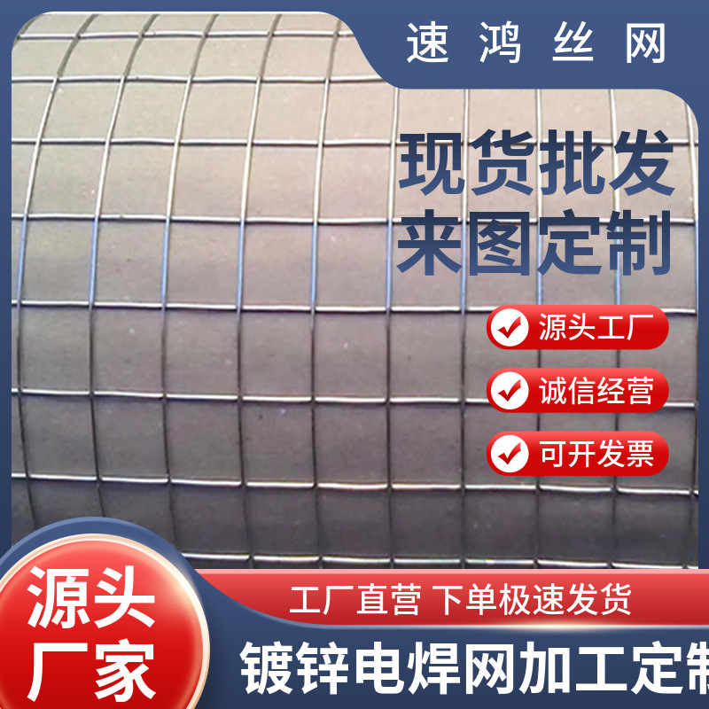 定制供应热镀锌电焊网 抹墙网 建筑内外墙防裂抹灰网 批荡网