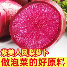 紫美人水果萝卜新鲜凤梨甜脆青萝卜红皮潍坊心里美萝卜生吃冰淇淋